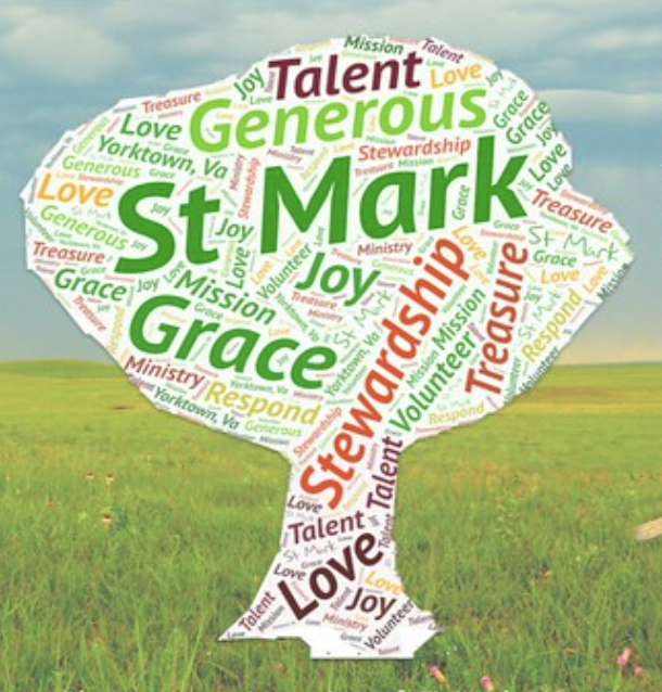 A graphic representing the 2025 Stewardship Campaign.